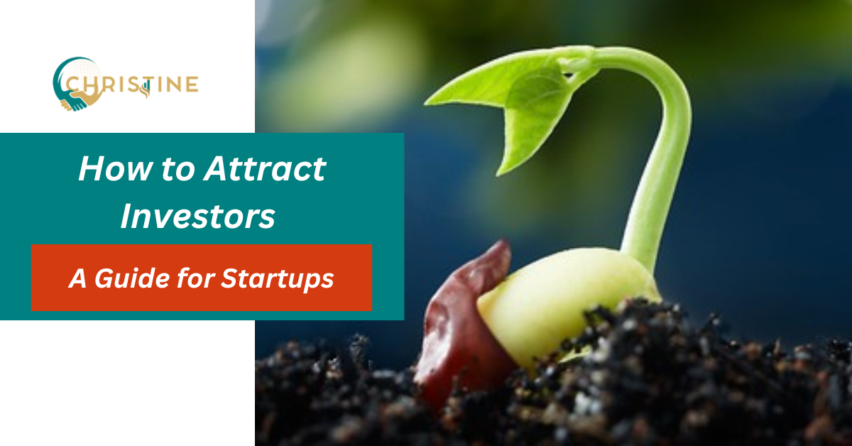 Read more about the article How to Attract Investors To Your Startup As A Nigerian